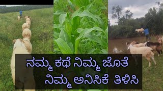 ಹಳ್ಳಿ lifestyle ಮತ್ತೆ ನಿಮ್ ಜೊತೆಗೆ subscribe ಆಗಿ support ಮಾಡಿ 🤗🤗 [upl. by Camila]