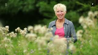 🔴 Gardeners World 2022  Gardening with Carol Klein 2022 Series 13 Episode 1 [upl. by Pittel]