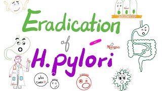 Eradication of Helicobacter Pylori Bacteria 🦠  The Triple Regimen amp The Quadruple Regimen [upl. by Ciccia420]