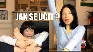 Jak se učit francouzštinu Část 1 [upl. by Dalury]