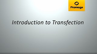 Introduction to Transfection [upl. by Oker]