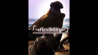 Southern elephant seal vs Arctotherium angustidens edit battle animals whoisstrongest [upl. by Trotter]