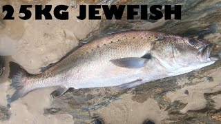 Spearing A 25KG Jewfish Mulloway [upl. by Rednal86]