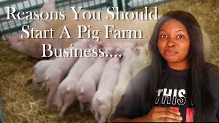 Reasons To Start A Pig Farm Business In 2024 [upl. by Ayotel]