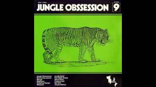 Nino Nardini amp Roger Roger  Jungle Obsession 1972 FULL ALBUM [upl. by Slavin]