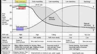 Unit 2  Demographic Transition and Population Pyramids [upl. by Aillicirp612]