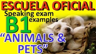 Sample B1 Speaking Test Animals and pets [upl. by Eanrahc]