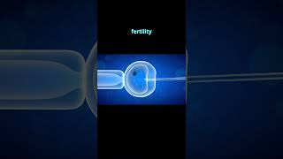 quotIVF vs Artificial Insemination  Whats the Differencequot [upl. by Mikaela711]