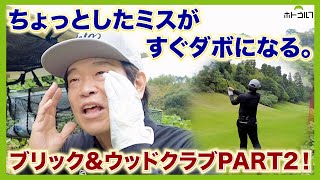 ARGOLFのニューパター2本で挑むD・ミュアヘッド設計コース！ [upl. by Carlos289]