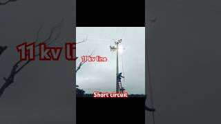 11kv line short circuittrending powerplant shorts short viralvideo trendingreels viralshorts [upl. by Idas]