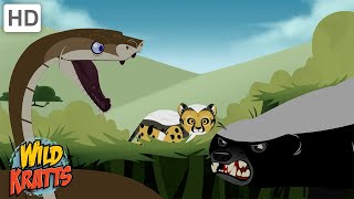 Creature Battles  Every Creature Showdown Part 113 Wild Kratts [upl. by Iralam]