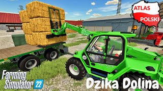 Dzika Dolina  Rozładunek słomy ☆ FS 22 ☆ Atlas Polski ㋡ Anton [upl. by Annahsal]