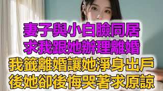 妻子與小白臉同居，求我跟她辦理離婚，我籤離婚讓她淨身出戶，後她卻後悔哭著求原諒 [upl. by Aekim]