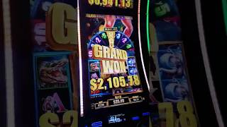 Big win hand pays casino montreal 7000 tarzan slot machine [upl. by Adnohsat]