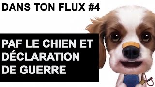 Paf le chien et déclaration de guerre DansTonFlux 4 [upl. by Sulakcin]