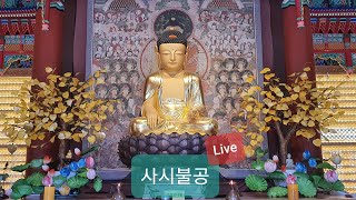 진리의 실천도량 달마사 11월 19일 사시불공 [upl. by Raama]