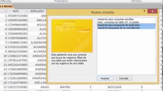 ASISTENTE PARA CONSULTA ACCESS [upl. by Ihtak423]