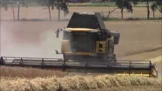 New Holland cr9090 Harvesting barley2014wvm [upl. by Eimyaj974]