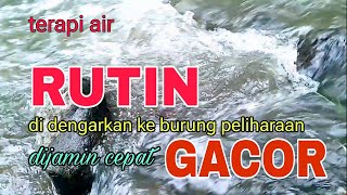 Rutinkan pancingan burung ini dijamin burung cepat gacor terapi suara air [upl. by Rie301]