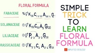 Floral Formula for NEET AIIMS AIPMT JIPMER [upl. by Teirrah]