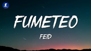 Feid  Fumeteo LetraLyrics [upl. by Klinges]