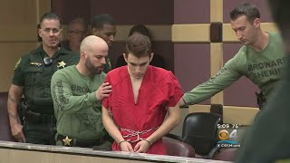 School Shooting Suspect Stands Mute In Court Facing Death Penalty [upl. by Draillih]