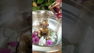 Ladoo gopal ne ki shiv pooja ☺️ trending laddugopalpuja shorts [upl. by Neirrad]