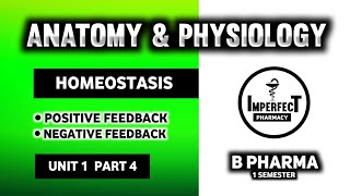 Homeostasis  Feedback  Positive Feedback  Negative Feedback  Human Anatomy And Physiology [upl. by Catlaina]