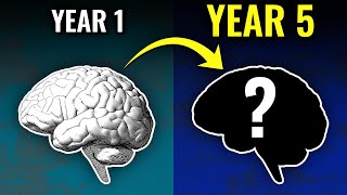 How Years Of Language Learning Affects Your Brain [upl. by Alleb328]