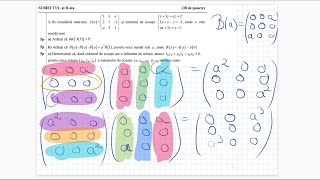 Simulare Bacalaureat 2022  Mate Info  Rezolvare Subiect [upl. by Virgilio543]