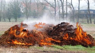 NEW YORK POOP SPONTANEOUSLY COMBUSTS [upl. by Ramedlab]