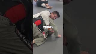 Joe Rogans Revolutionary Jiu Jitsu Trainer [upl. by Matrona757]