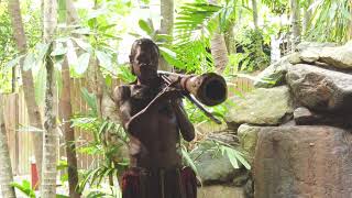 Cairns  Aboriginal Culture amp Kuranda Scenic Railway [upl. by Coco]