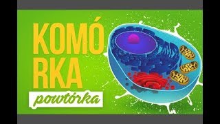 Komórka  Błona komórkowa i ściana komórkowa  Powtórka z biologii [upl. by Loginov]