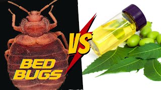 Does Neem Oil REALLY work for Bed Bugs COMPLETE Tutorial [upl. by Ateuqram]