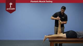 Plantaris Muscle Test Palp Dr Nikita Vizniak Muscle Manual [upl. by Ayocal]