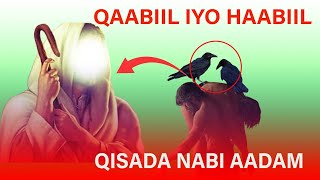 QISADA NABI ADAM CS  DILKII QAABIIL IYO HAABIIL [upl. by Nageam]