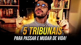 5 CONCURSOS DE TRIBUNAIS PARA MUDAR DE VIDA EM 2024 [upl. by Fraser]