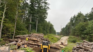 Getting logs to make footing boards for concrete [upl. by Lonne421]