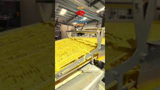 Inside Haldirams The Nut Cracker Factory Tour 🥜✨ haldirams nutcracker bikaji namkeen [upl. by Herold]