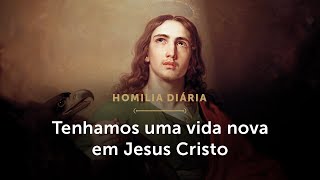 Homilia Diária  Vida nova em Cristo Festa de São João Apóstolo e Evangelista [upl. by Anelliw]