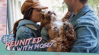 Real Life Daily  Reunited With Mosey  Episode 5 [upl. by Natalia]