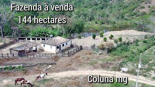 PROPRIEDADE  FAZENDA DE 144 HECTARES À VENDA  COM REPRESA  EM COLUNA MG [upl. by Westhead]