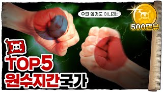 💀 역사적으로 quot절대quot 화해 불가능한 국가들 TOP 5  💀 이 나라들은 왜 사이가 나쁠까 [upl. by Aderb]