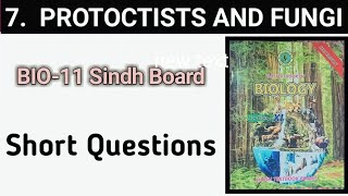 short questions protoctist And Fungi class 11 bio chapter 7 [upl. by Suivart]