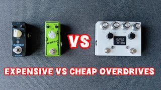 Browne Amplification The Protein VS Mooer Blues Crab  Tone City Nobleman Comparison 🔥 [upl. by Jolanta950]