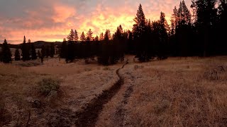 Beautiful Yellowstone National Park during hunting season  Fan Creek [upl. by Kcirdorb]