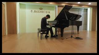 Prokofiev piano sonata no8 op84 Mvt 1 [upl. by Estus]