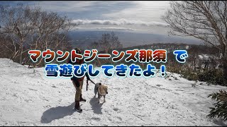 2024224 マウントジーンズ那須で雪遊びしてきたよ！ [upl. by Ethbin423]