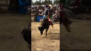 ¡¡GANSITO DE NAYARIT VS FIESTA CALIFORNIA DESTRUCTORES VS INTUMBABLES EN SALINAS CALIFORNIA viral [upl. by Mae]